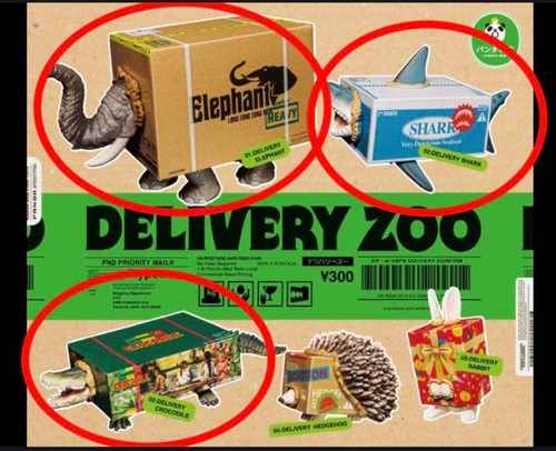 Consegna zoo elefante - zoo, squalo