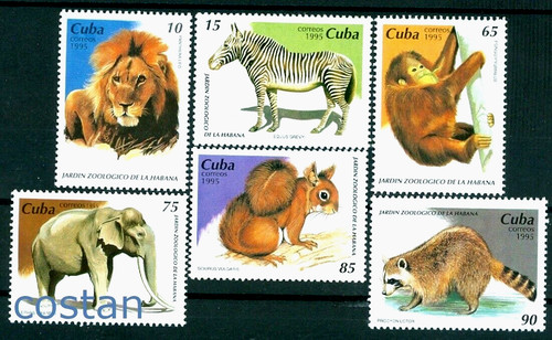 1995 zoo leone orango - leone,,