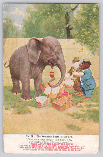 Orsi roosevelt zoo - orsi, n.28