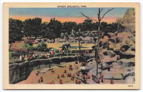 Cartolina epoca detroit zoo - cartolina, d'epoca