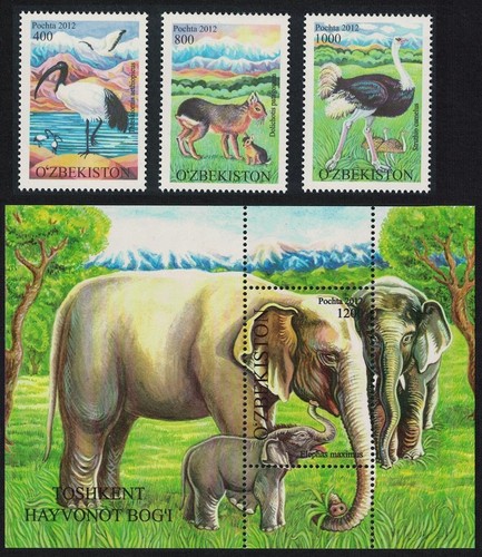 Ibis emu birds - emu, mara
