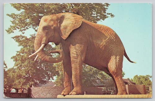 S30484 elephant london zoo - elephant,
