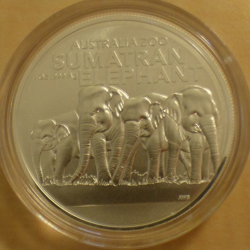 Australia zoo sumatra - 1$,