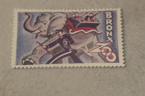 Timbro poster elefante zoo - timbro,