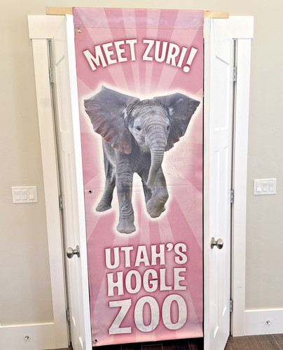 Hogle zoo elephant banner - zoo,