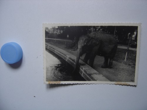 Photo milieu xxe - milieu,