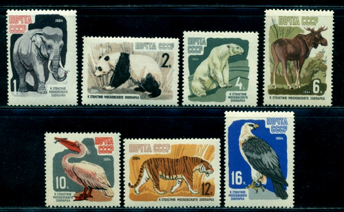 1964 zoo mosca elefante orso - elefante,,