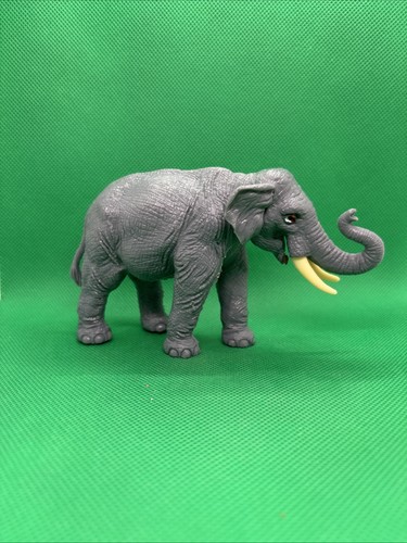 Elefante indiano dello zoo