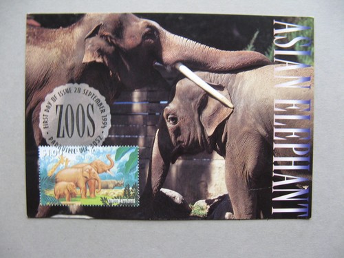 Australia maxi card - card,