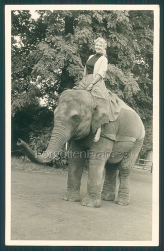 Foto ragazza cavalca elefante - ragazza,