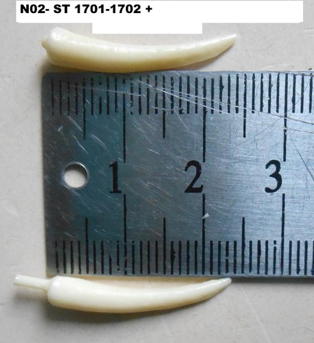 Starlux copies resine - starlux,