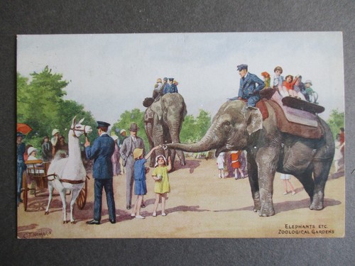 Postcard london zoo elephant - postcard,