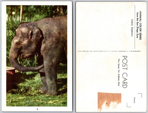 Cartolina elefante zoo - cartolina,