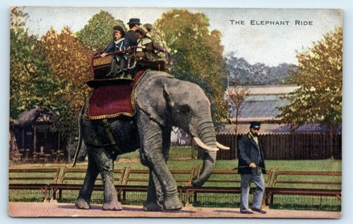 Postcard the elephant - postcard, ride