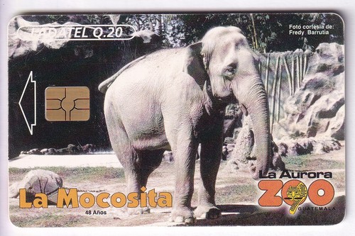 Amerique telecarte phonecard - amerique, /