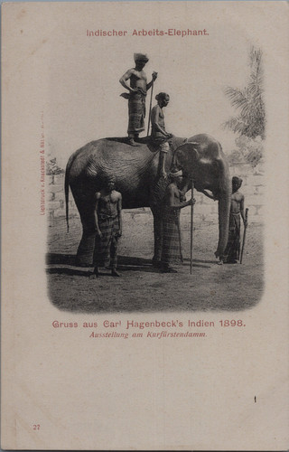 Zoo humain exposition - zoo,