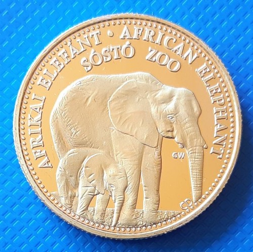 Elefante africano tigre - elefante, e