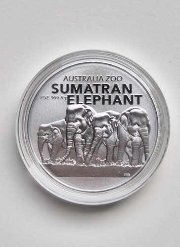 Dollaro elefante di - ~,