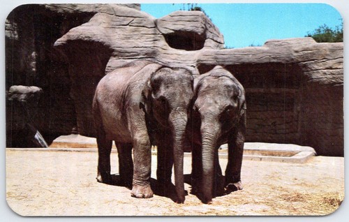 1954 milwaukee zoo famoso - milwaukee,