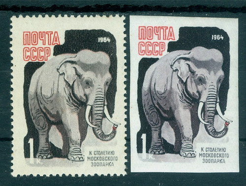 1964 zoo mosca elefante - mosca,, l'elefante