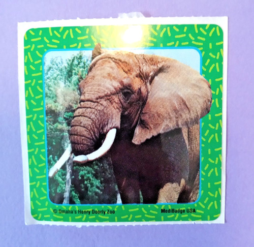Modulo adesivo elefante zoo - adesivo,